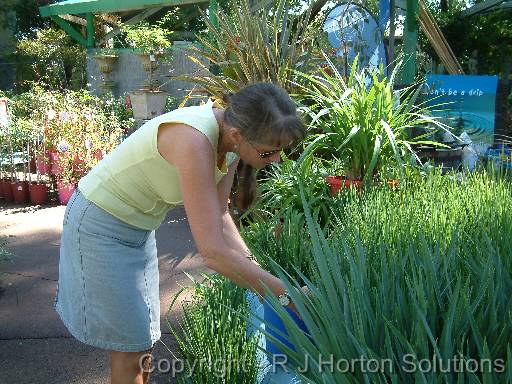 Selecting plants Julia 